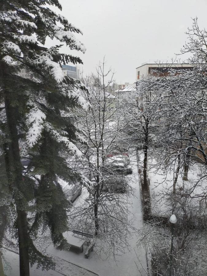 Cozy Family Apartments Брашов Екстер'єр фото